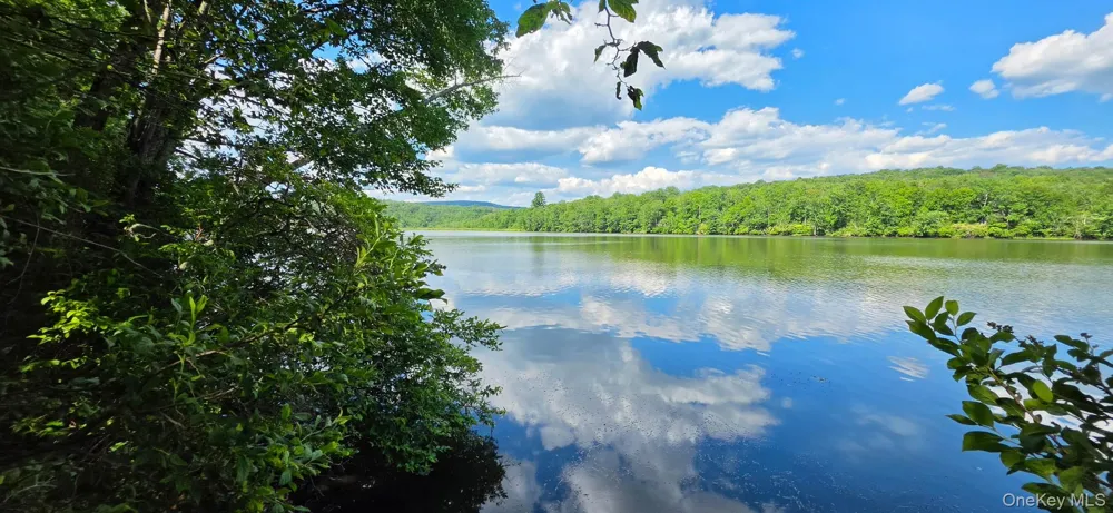 Shore Rd Swan Lake, NY 12783