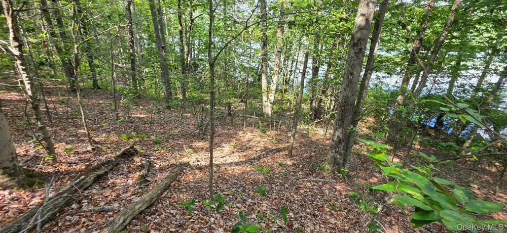 Shore Rd Swan Lake, NY 12783