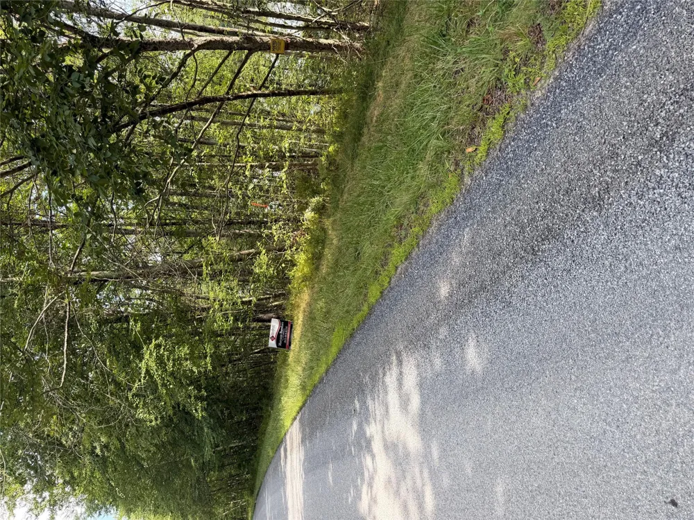 Shore Rd Swan Lake, NY 12783