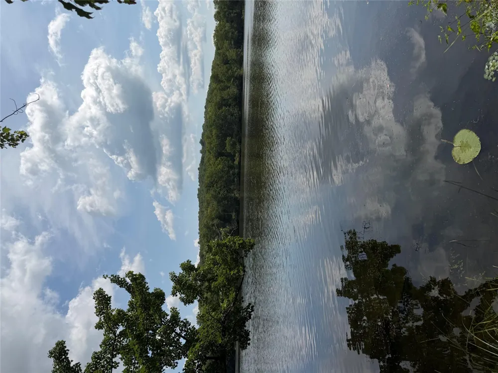 Shore Rd Swan Lake, NY 12783