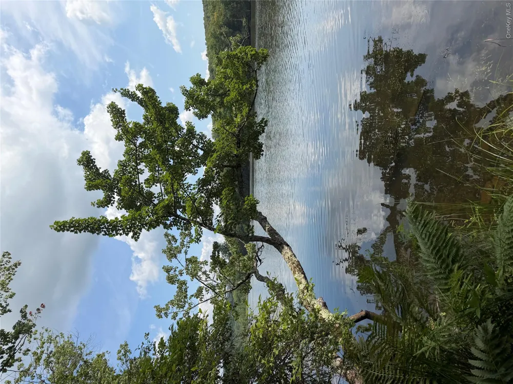Shore Rd Swan Lake, NY 12783