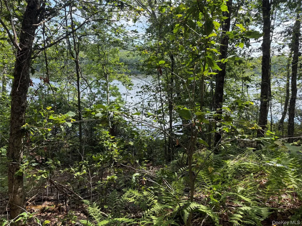Shore Rd Swan Lake, NY 12783