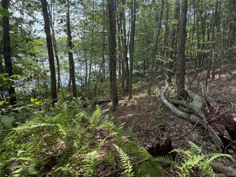 Shore Rd Swan Lake, NY 12783