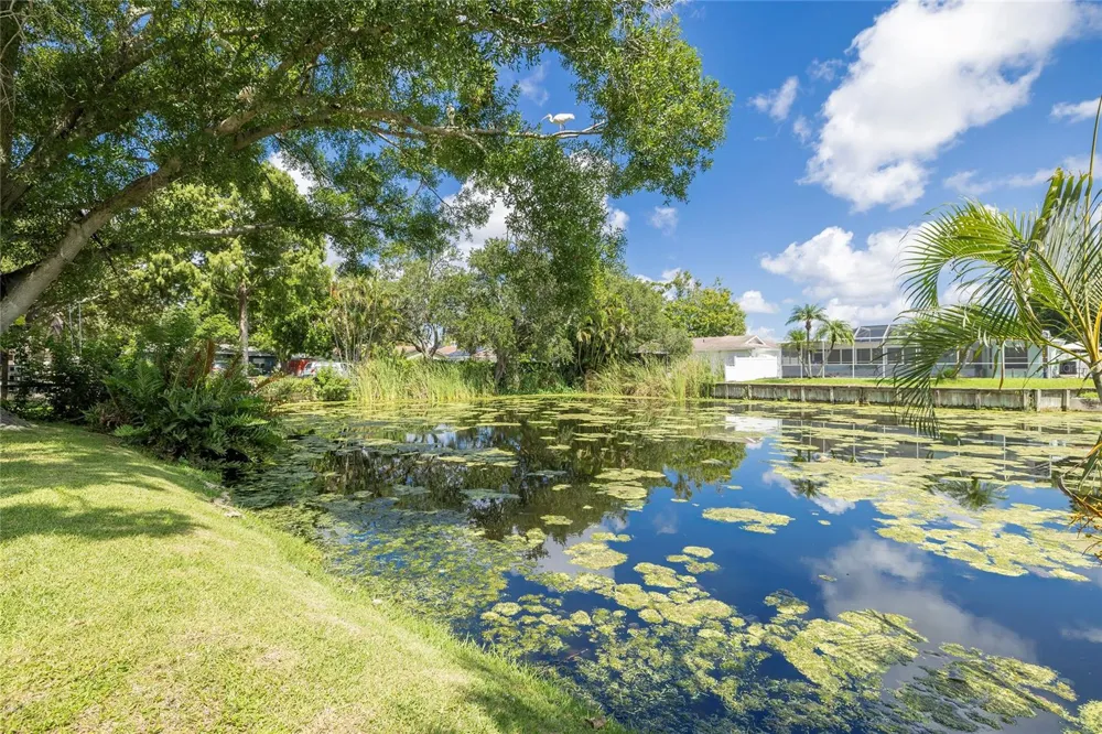6355 102ND TERRACE Pinellas Park, FL 33782