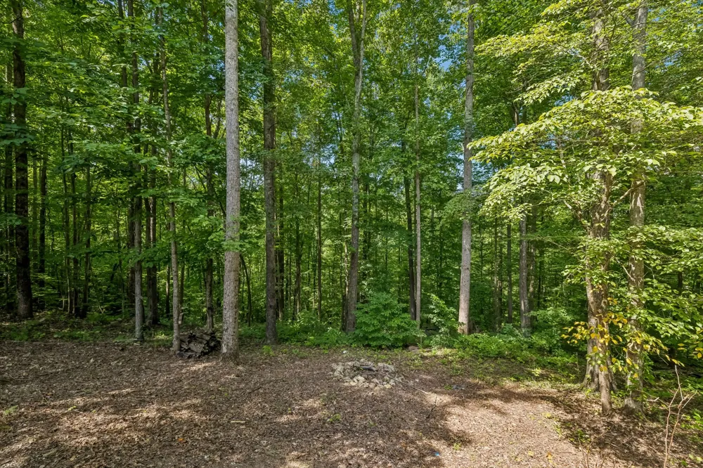 135 Shiloh Ln Smithville, TN 37166