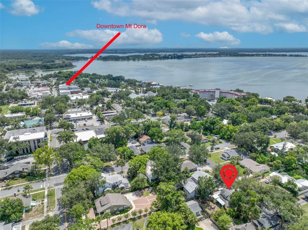 834 ALEXANDER STREET Mount Dora, FL 32757
