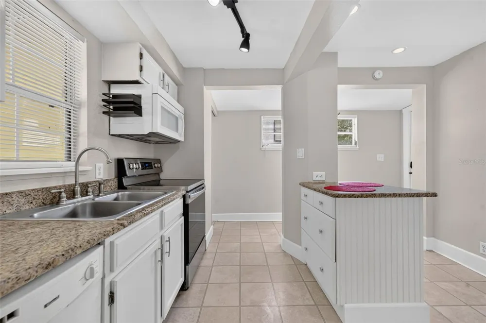 834 ALEXANDER STREET Mount Dora, FL 32757