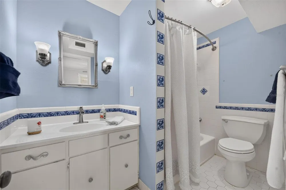 834 ALEXANDER STREET Mount Dora, FL 32757