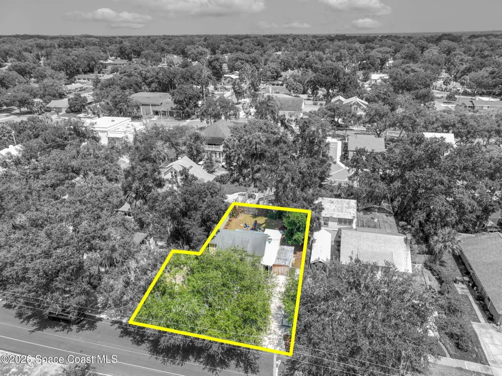 834 Alexander Street Mount Dora, FL 32757