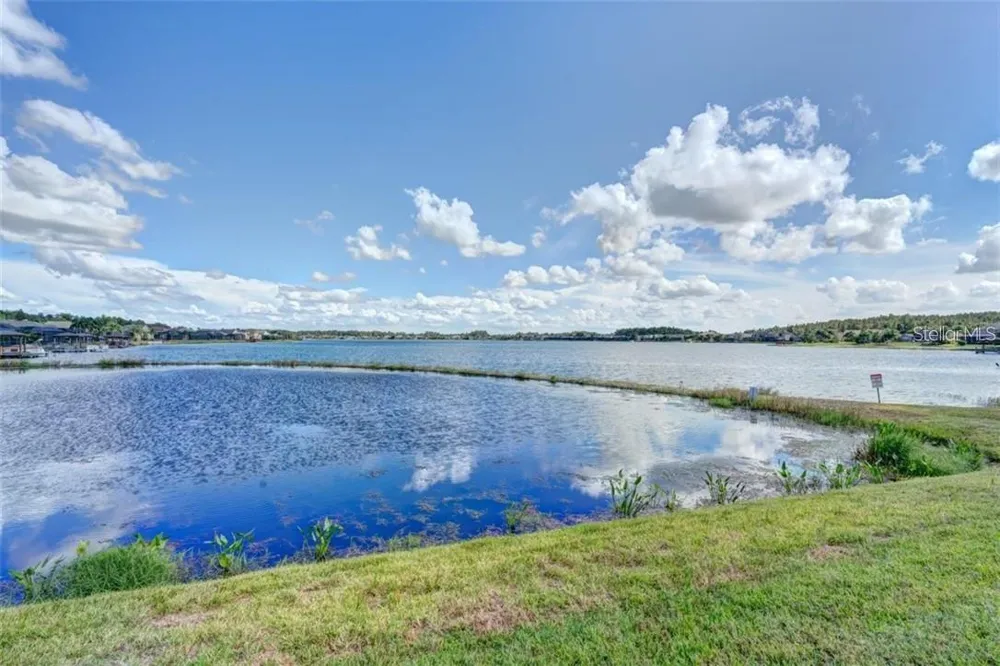 16215 IVY LAKE DRIVE Odessa, FL 33556