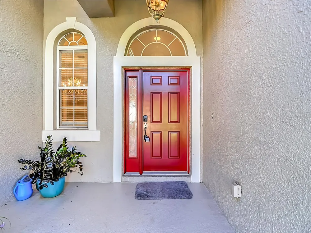16215 IVY LAKE DRIVE Odessa, FL 33556