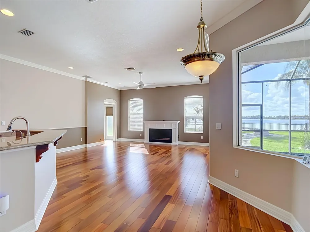 16215 IVY LAKE DRIVE Odessa, FL 33556