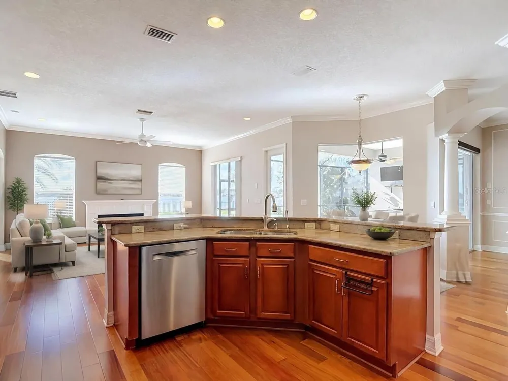 16215 IVY LAKE DRIVE Odessa, FL 33556