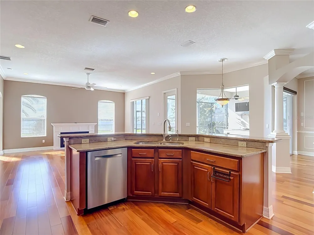 16215 IVY LAKE DRIVE Odessa, FL 33556