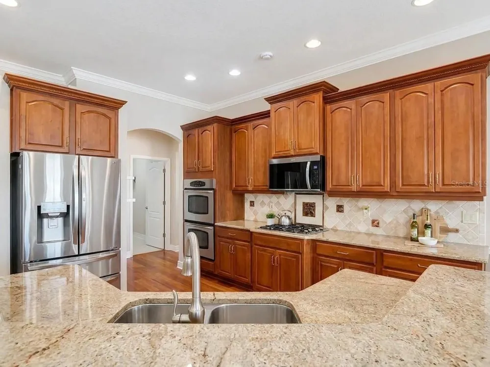 16215 IVY LAKE DRIVE Odessa, FL 33556