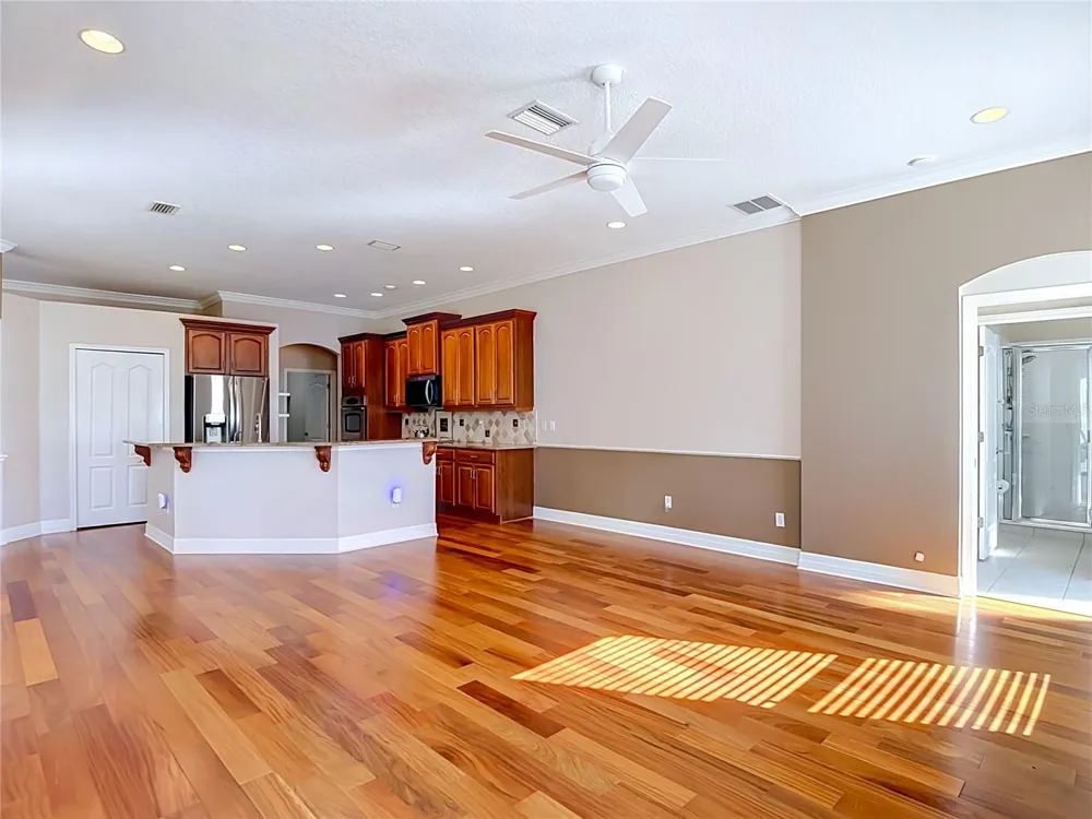16215 IVY LAKE DRIVE Odessa, FL 33556
