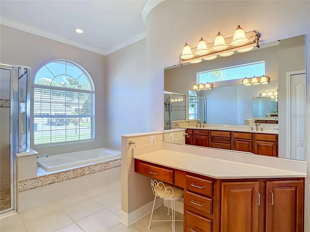 16215 IVY LAKE DRIVE Odessa, FL 33556