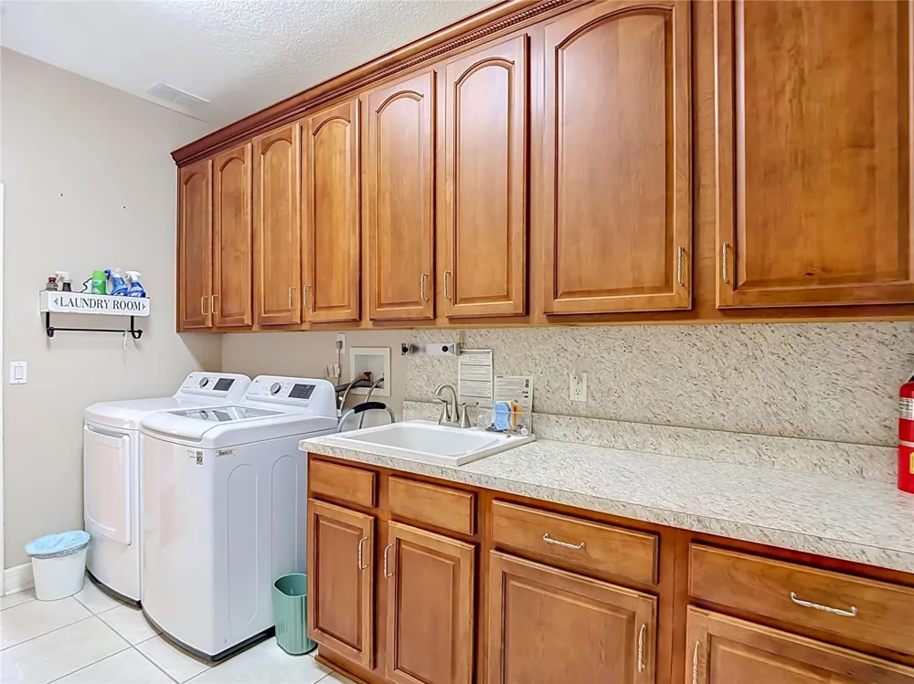 16215 IVY LAKE DRIVE Odessa, FL 33556