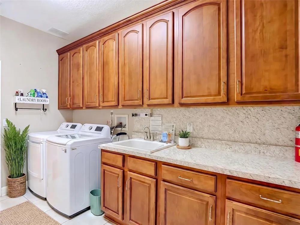 16215 IVY LAKE DRIVE Odessa, FL 33556