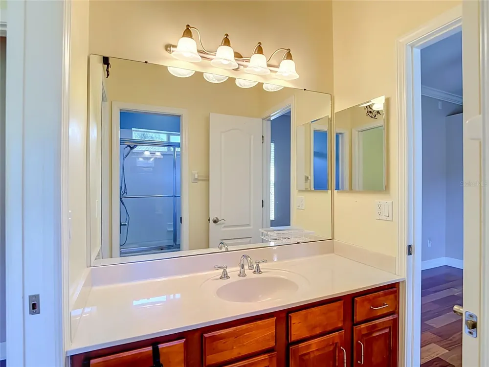 16215 IVY LAKE DRIVE Odessa, FL 33556