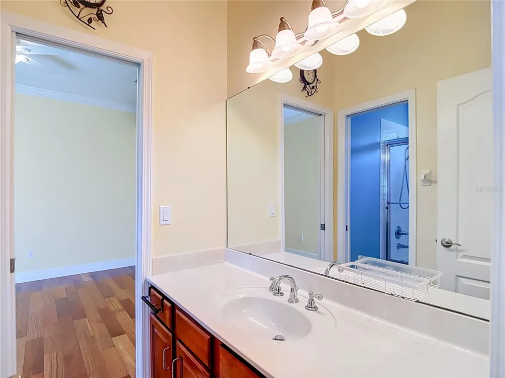 16215 IVY LAKE DRIVE Odessa, FL 33556