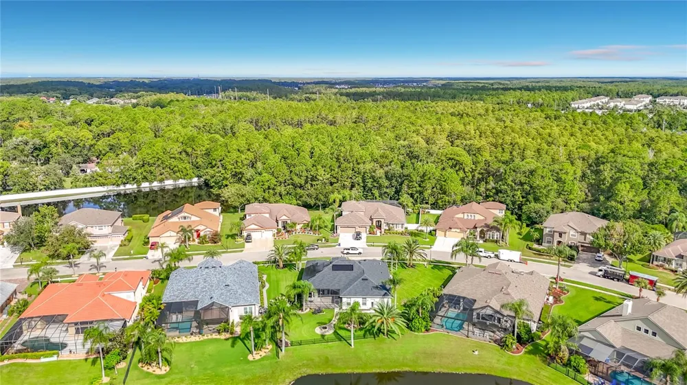 16215 IVY LAKE DRIVE Odessa, FL 33556