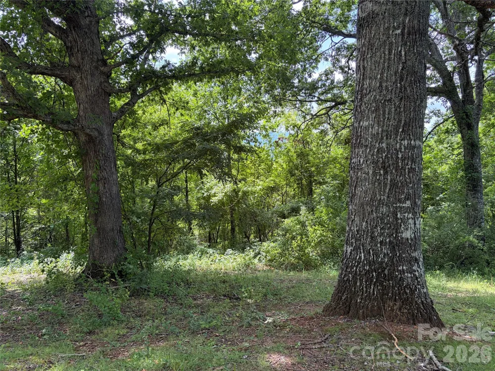 61 Sugar Maple Drive Black Mountain, NC 28711