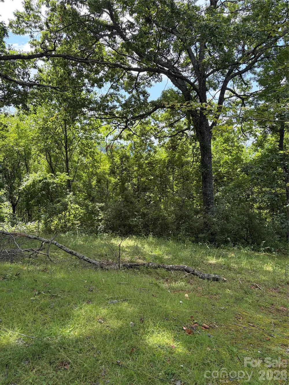 61 Sugar Maple Drive Black Mountain, NC 28711