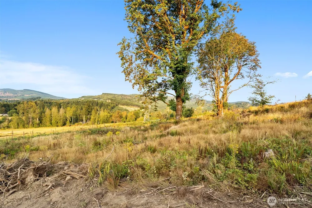 391 Brook Valley Road Kelso, WA 98626