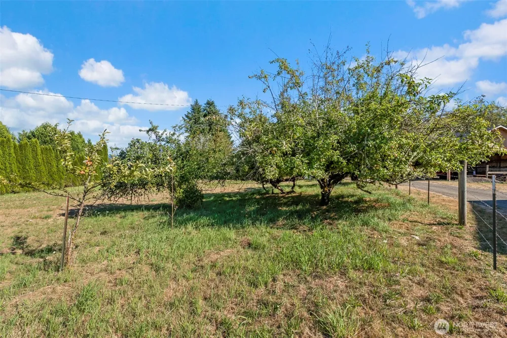 400 South Bank Road Elma, WA 98541