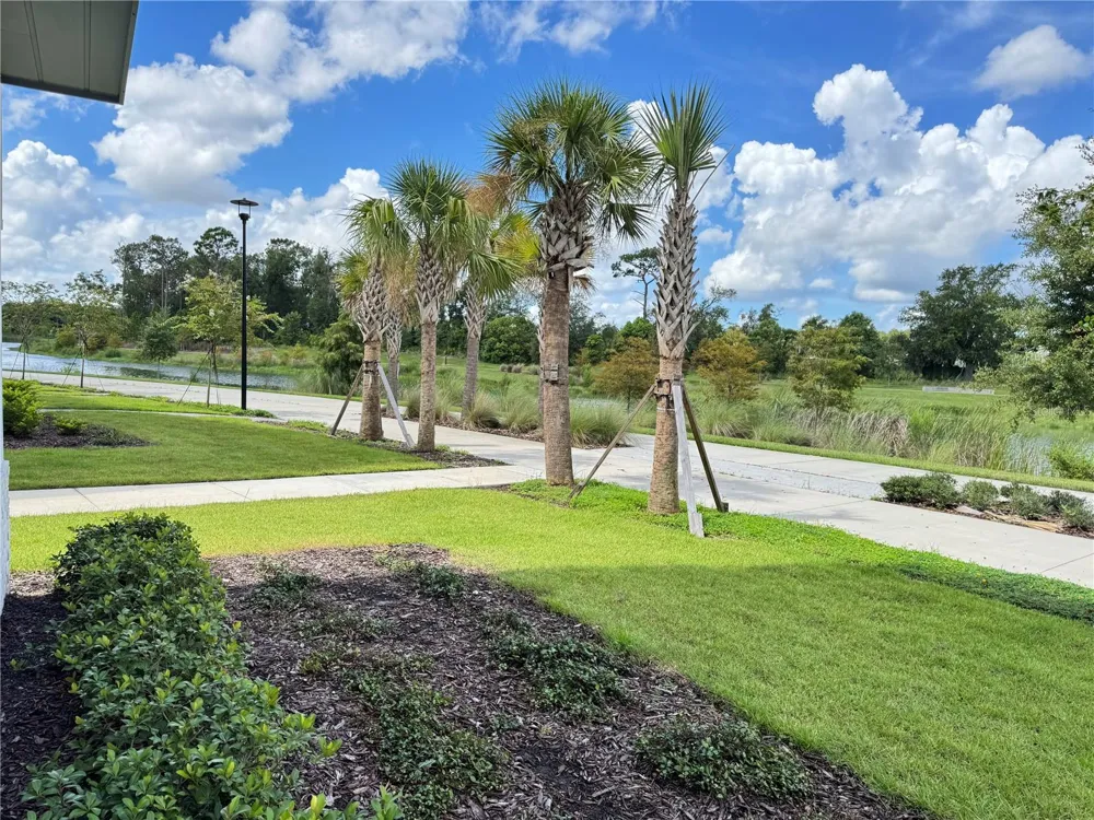 2362 ADDALIA ALLEY Orlando, FL 32804