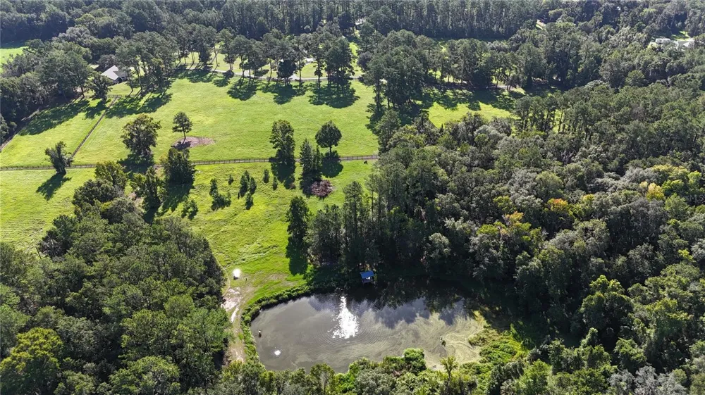 Address Not Shown Micanopy, FL 32667