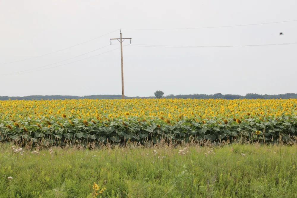 000 State Hwy 219 Goodridge, MN 56725