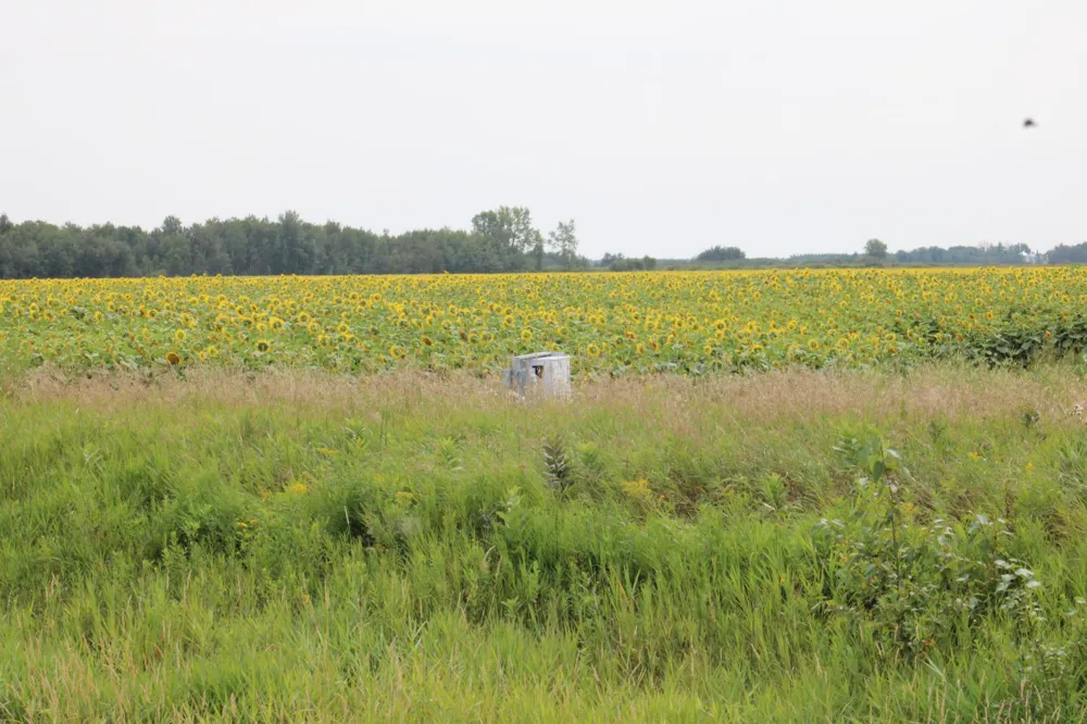 000 State Hwy 219 Goodridge, MN 56725