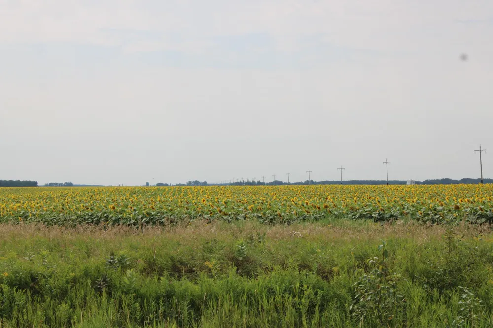000 State Hwy 219 Goodridge, MN 56725