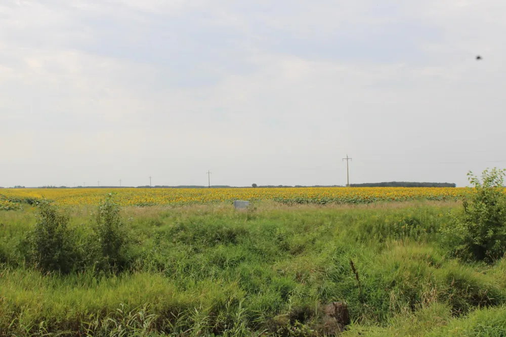 000 State Hwy 219 Goodridge, MN 56725