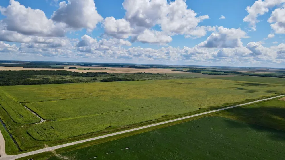 000 State Hwy 219 Goodridge, MN 56725