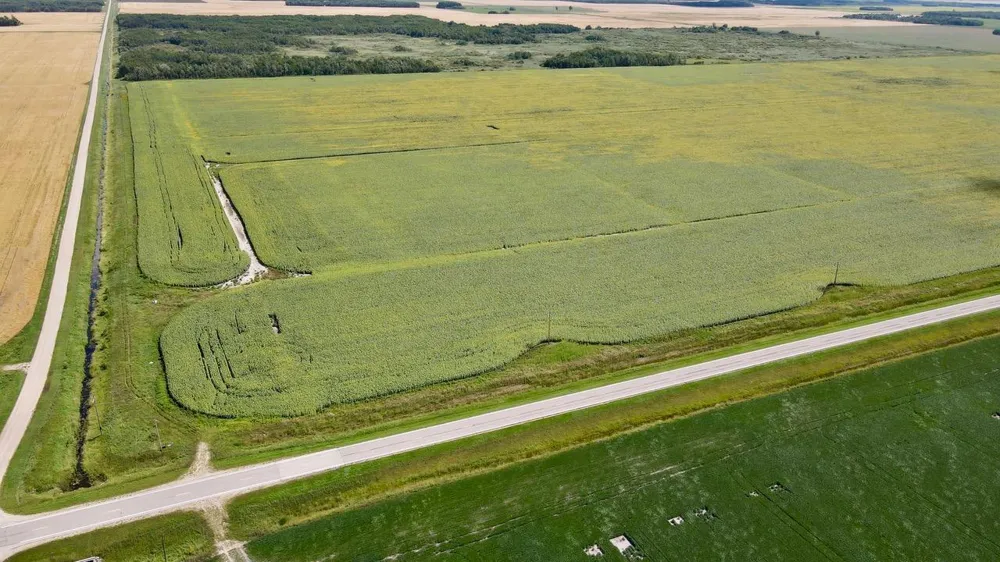 000 State Hwy 219 Goodridge, MN 56725