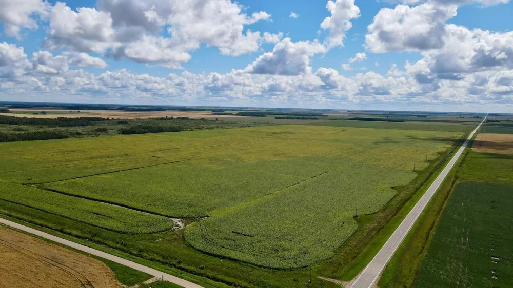 000 State Hwy 219 Goodridge, MN 56725