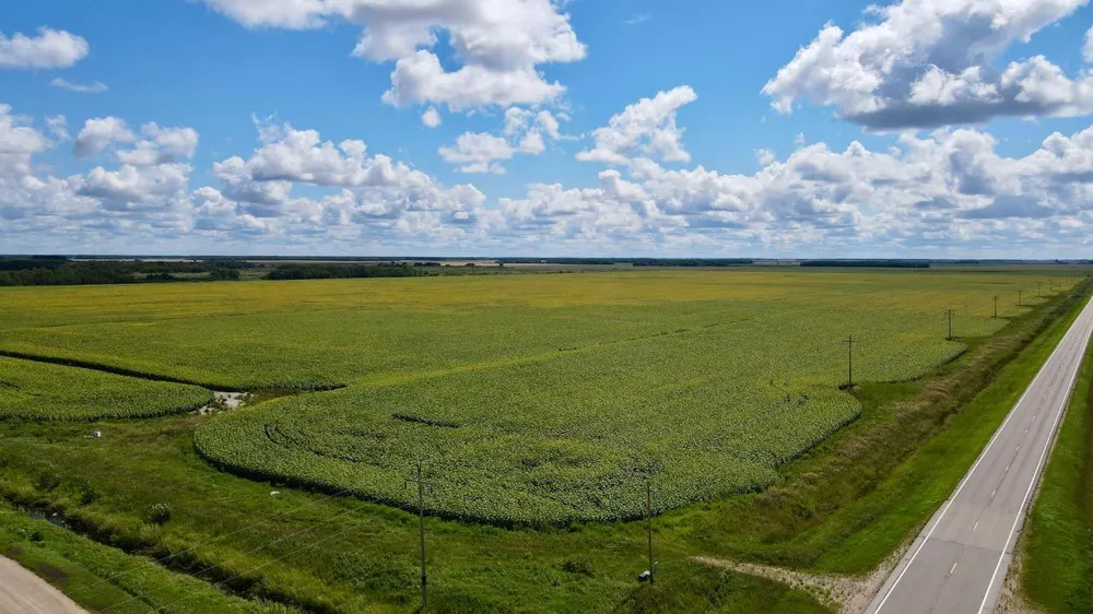 000 State Hwy 219 Goodridge, MN 56725
