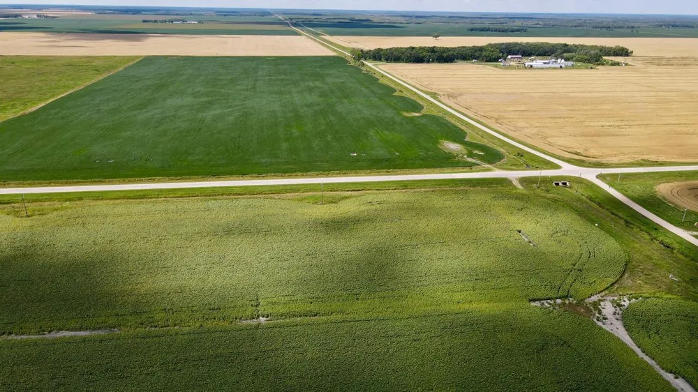 000 State Hwy 219 Goodridge, MN 56725