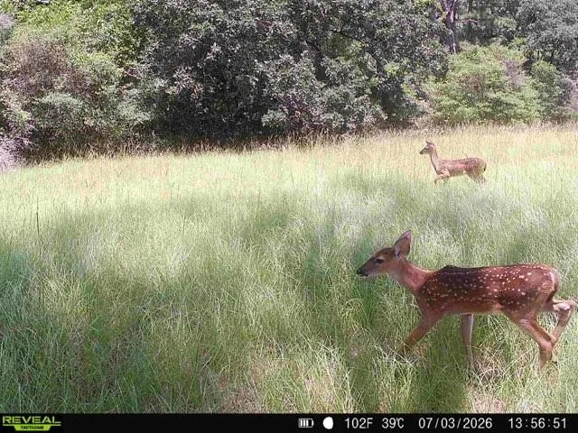 7921 Fm 3178 Centerville, TX 75833