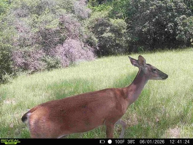 7921 Fm 3178 Centerville, TX 75833