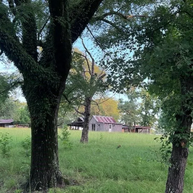 7921 Fm 3178 Centerville, TX 75833