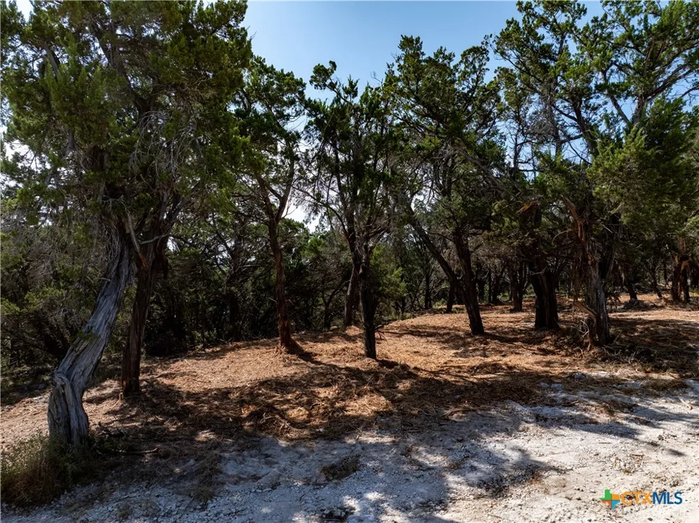 Mountain Top Circle Jonestown, TX 78645