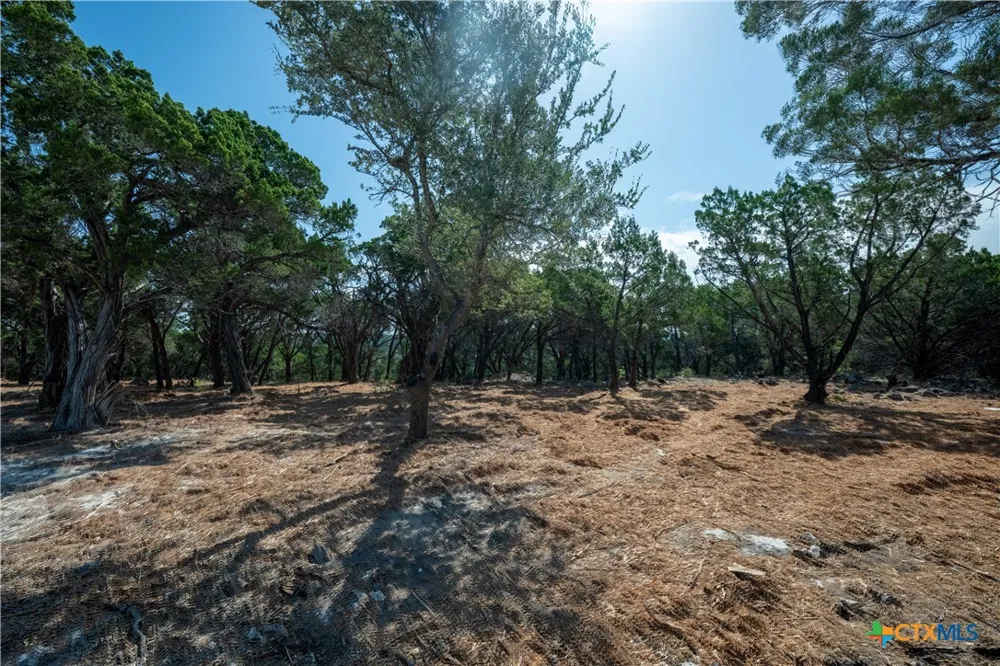 Mountain Top Circle Jonestown, TX 78645