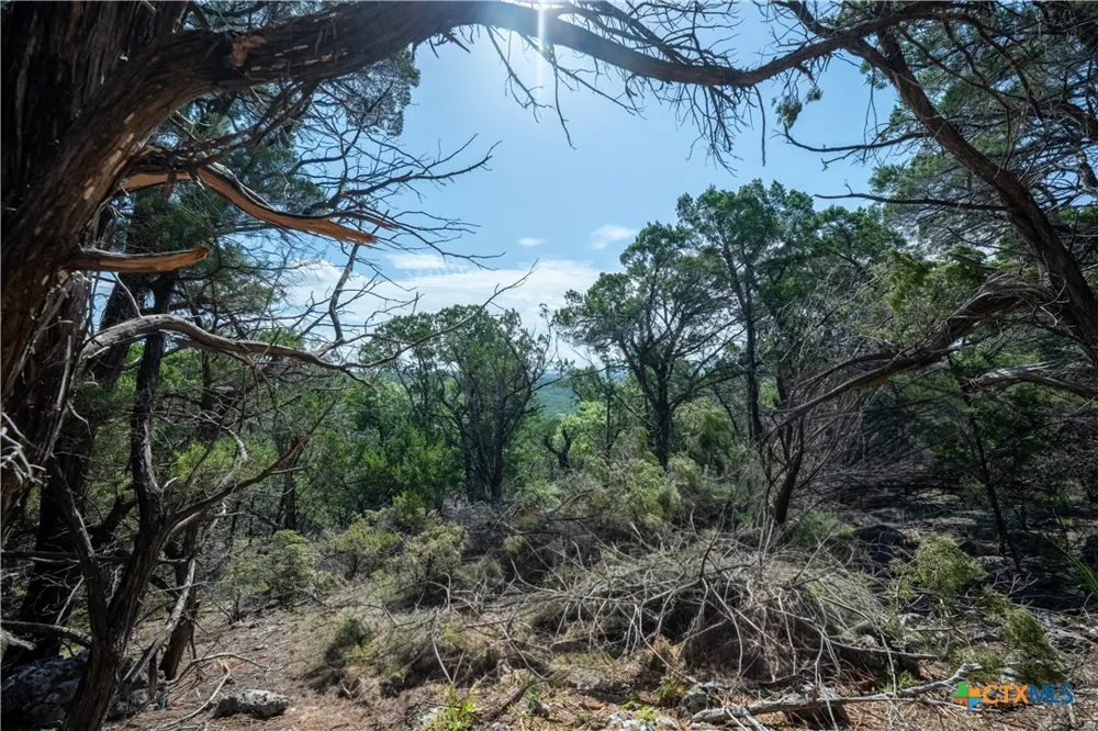 Mountain Top Circle Jonestown, TX 78645