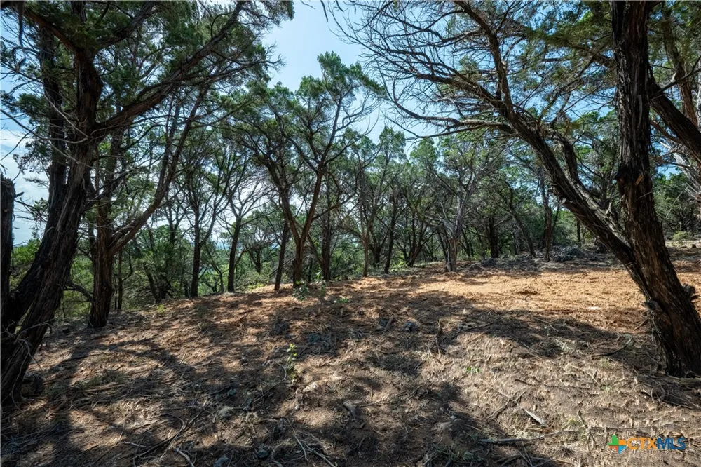 Mountain Top Circle Jonestown, TX 78645