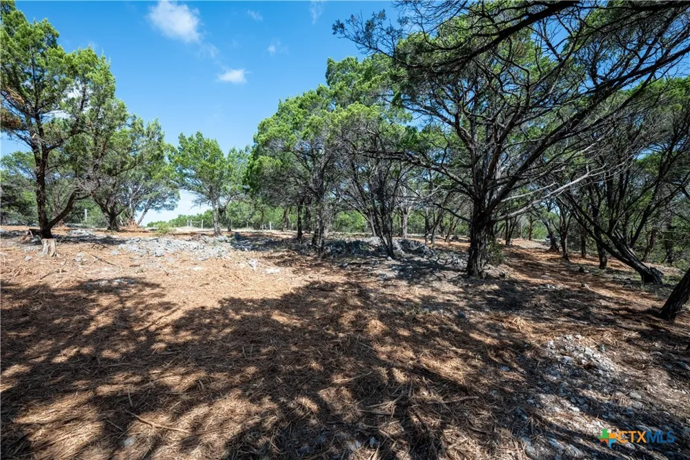 Mountain Top Circle Jonestown, TX 78645