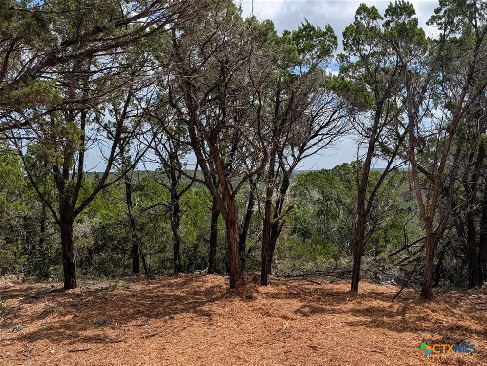 Mountain Top Circle Jonestown, TX 78645